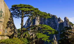 團(tuán)建|魅力初秋，歡歌同行 -2019鑫創(chuàng)夏令營